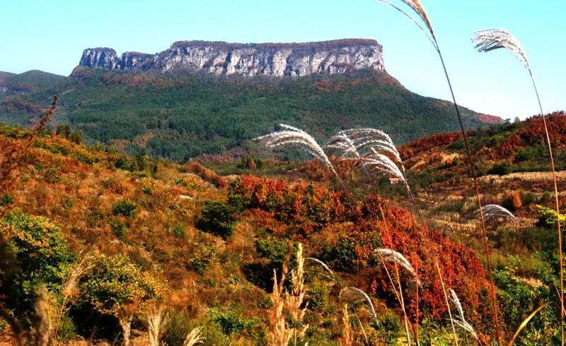 辽宁本溪市,辽宁本溪市共享租赁项目加盟电话