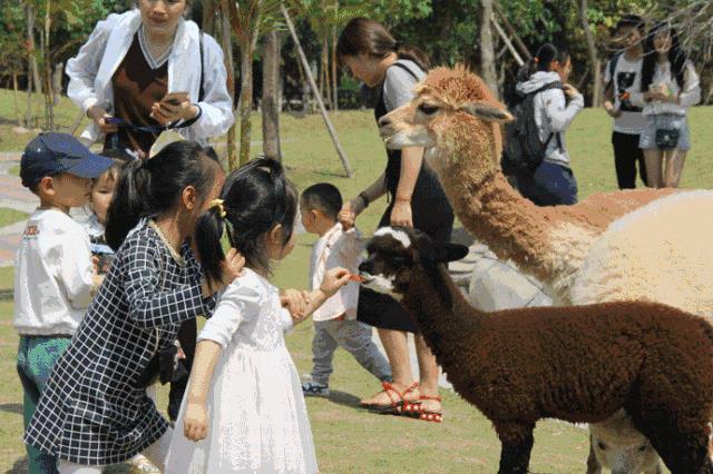 儿童乐园加盟新政策,开心哈乐儿童乐园加盟费用多少