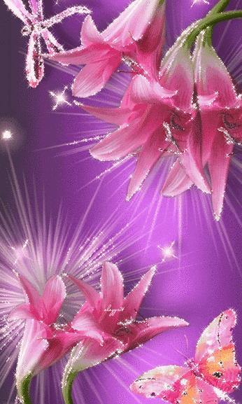 花卉动态美图,花卉美图动态图片