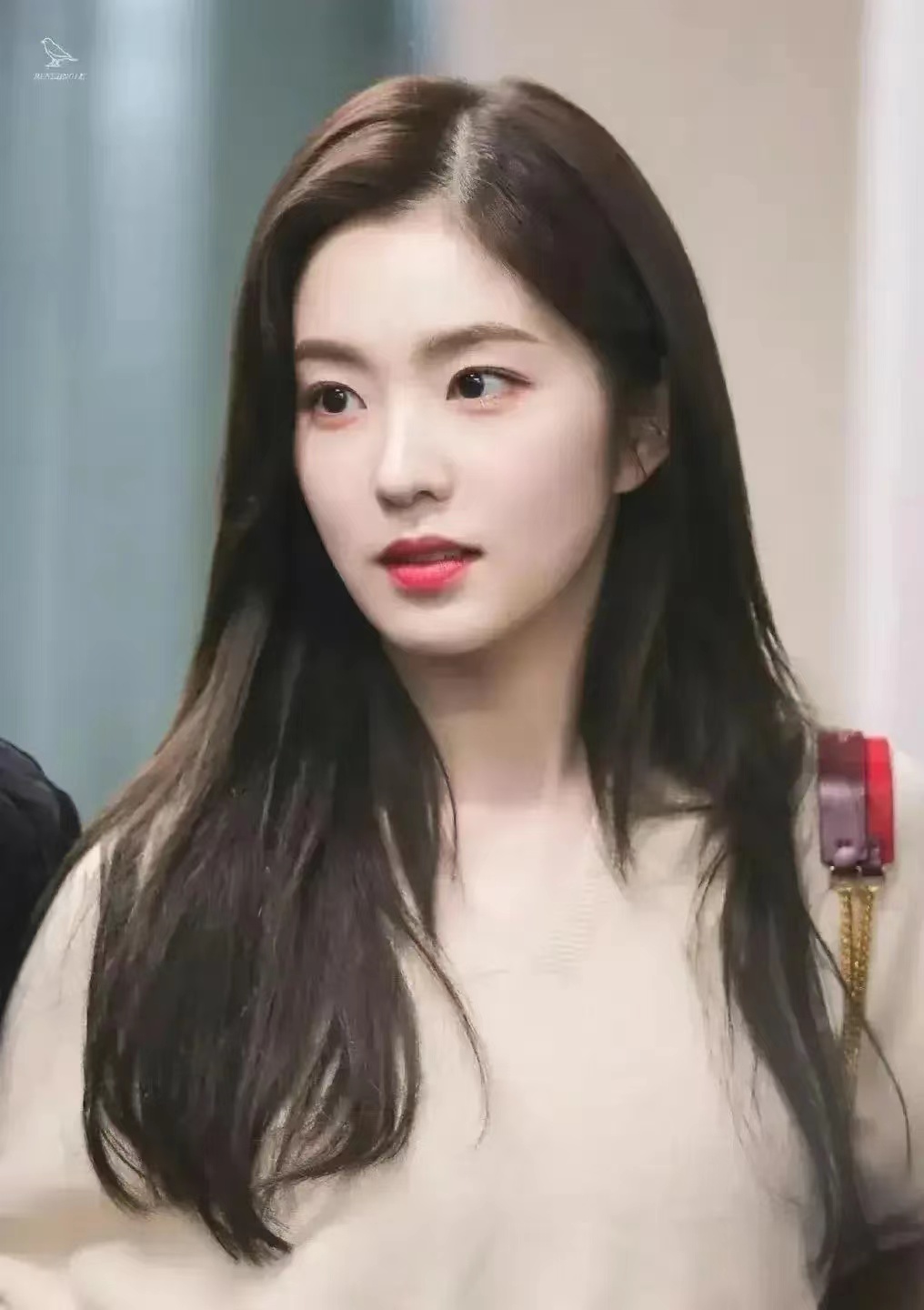 热门词汇分析,热门词汇解释