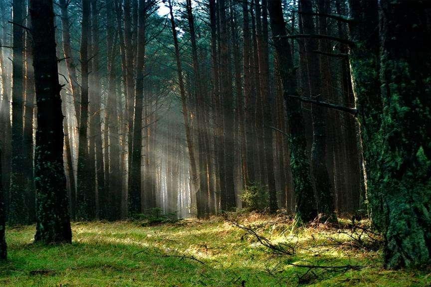 浮躁的时代读书怎么样,浮躁的年代诗歌