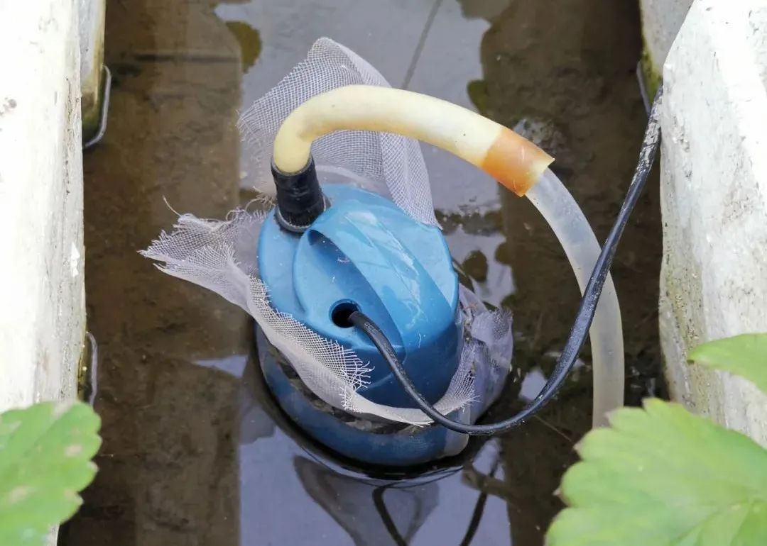 浅池二培,浅池厌氧