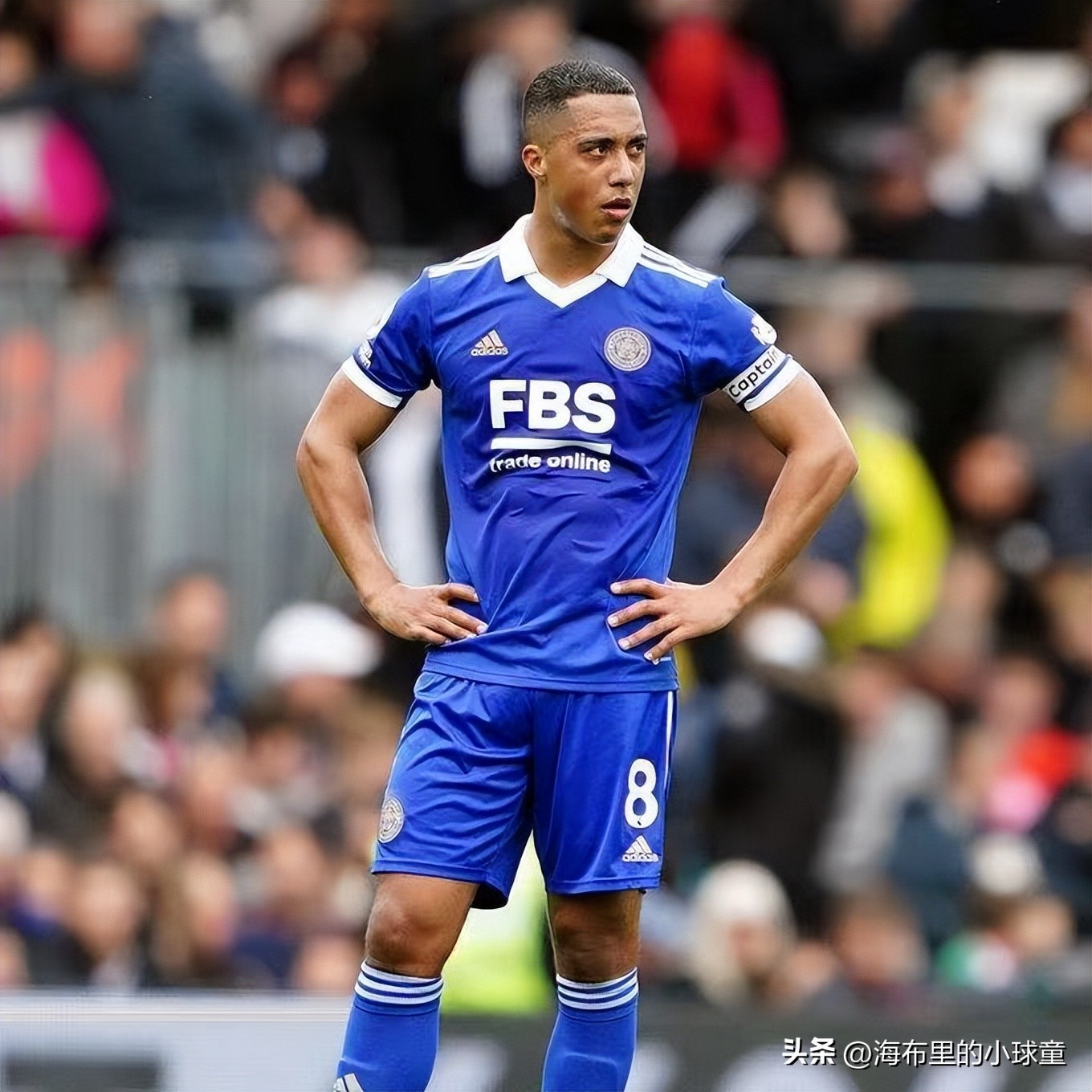 英冠狐狸城队什么时候降到英冠,狐狸城英冠是不是已经夺冠了