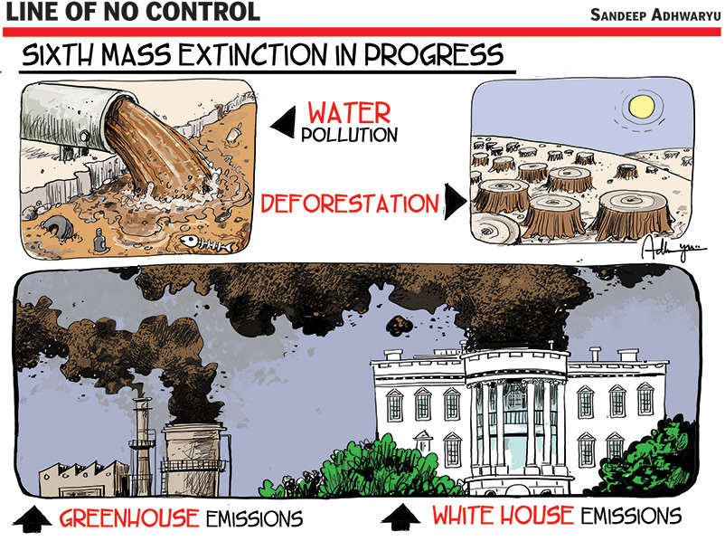 地球可能进入第六次大灭绝,地球正在进行第六次生物大灭绝吗