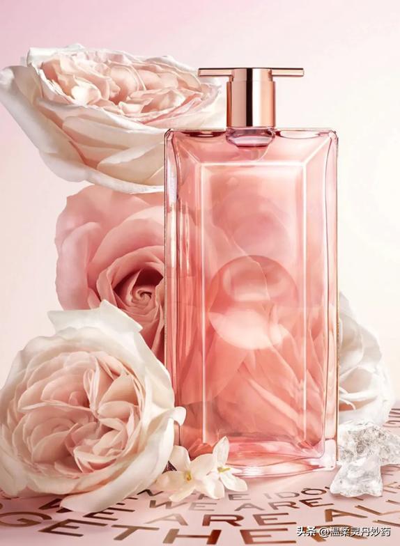 法国兰蔻lancome大粉水400ml,兰蔻香水和香奈儿香水比较