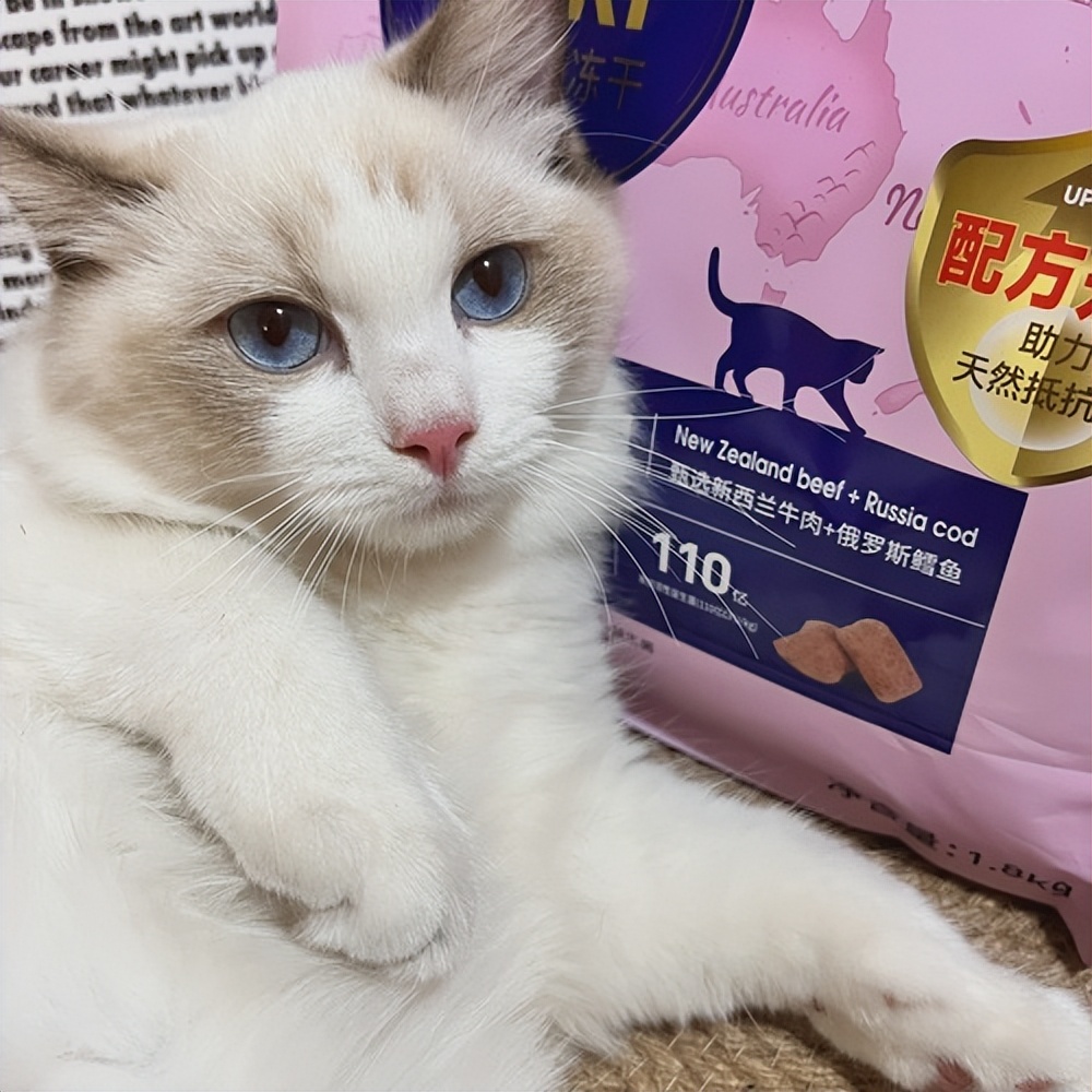 猫指甲裂开怎么回事,猫咪脚趾甲裂开是什么原因