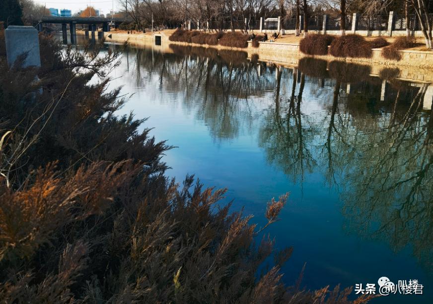 陈经纶中学分校望京东湖湾,望京东湖湾捡漏房