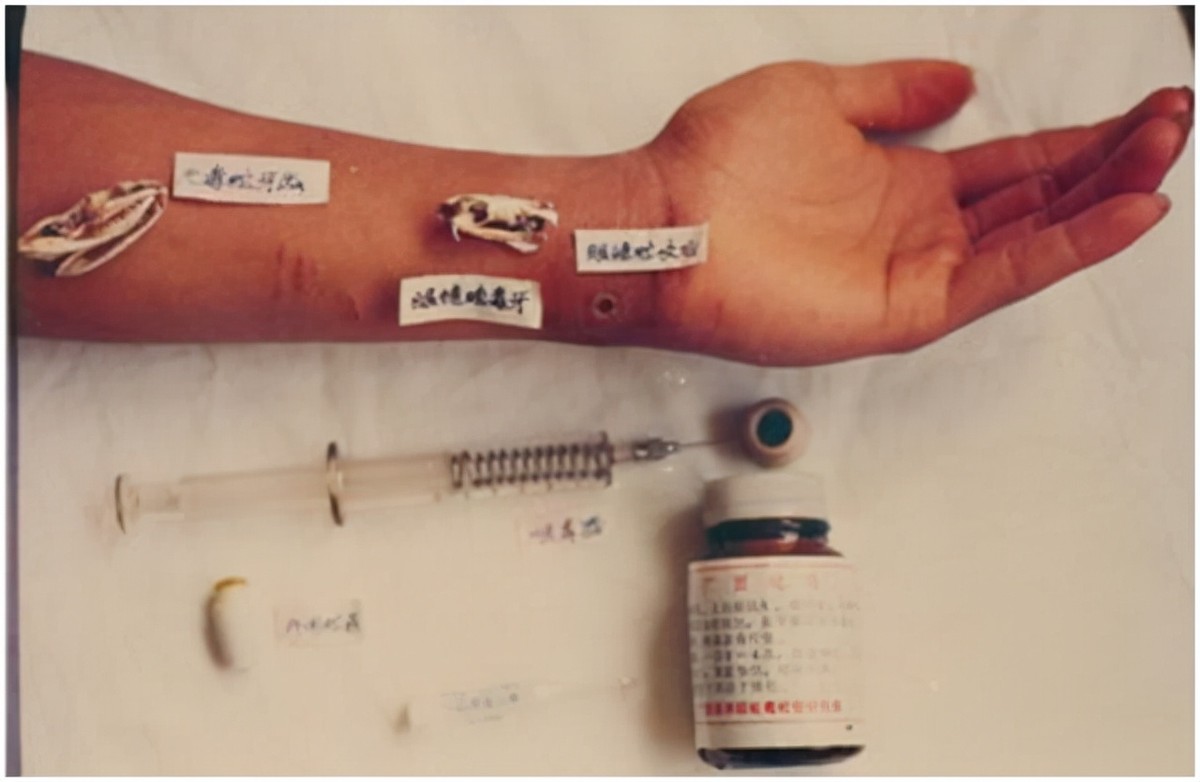 广西养蛇者被毒蛇咬死,广西养蛇第一人