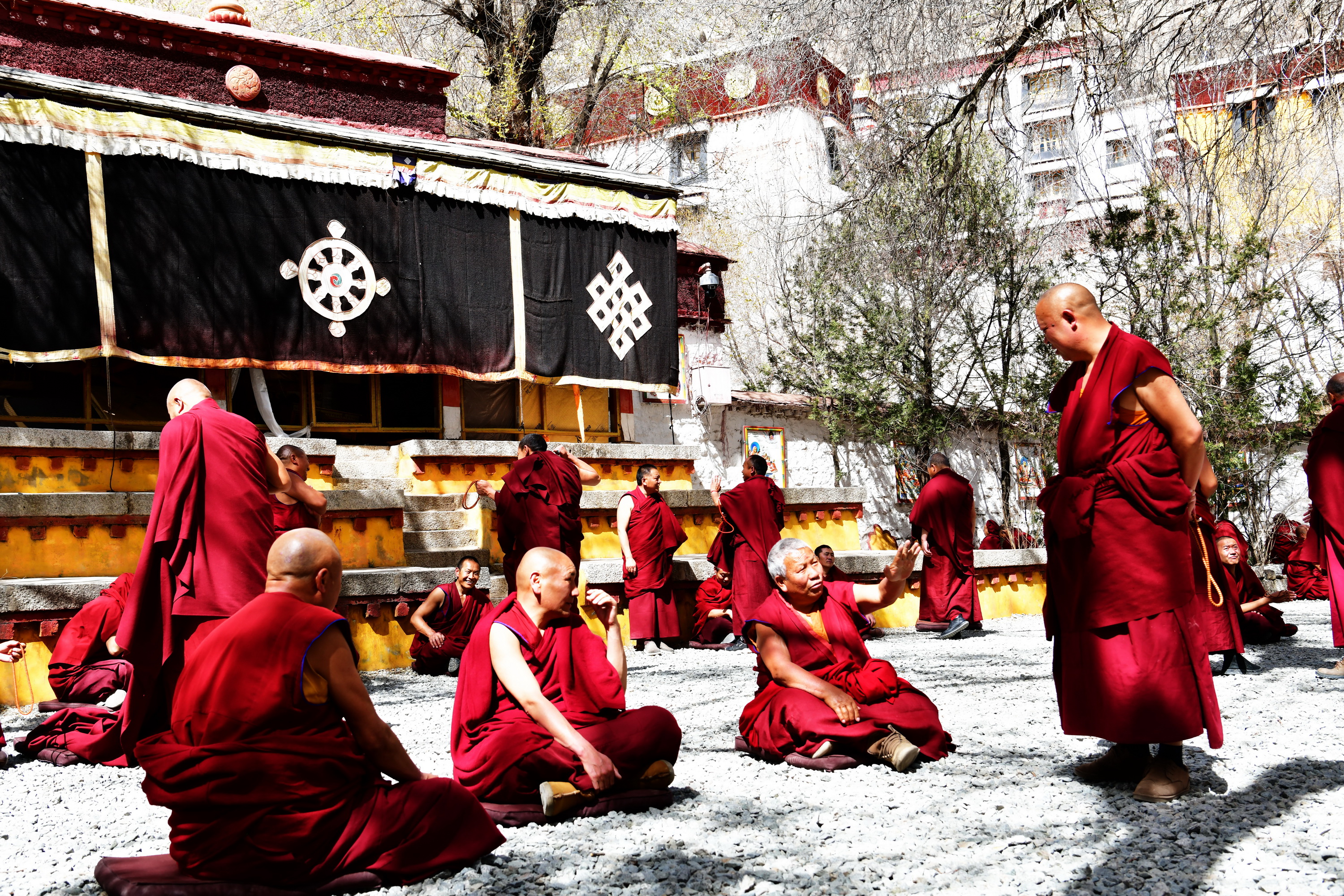 我的林芝一日游攻略,林芝看桃花西藏之旅