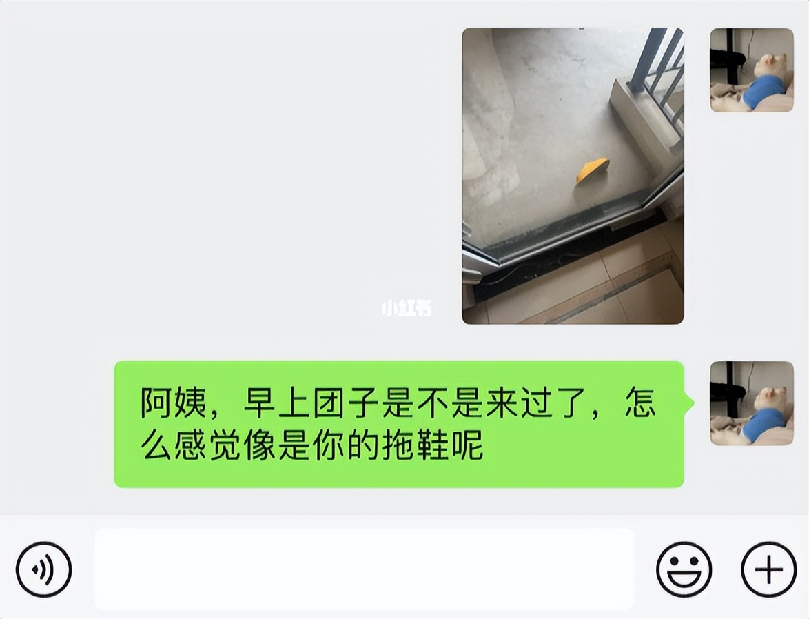 小姐姐和邻居小狗发展迅速，几天后竟然都“滚床单”啦~