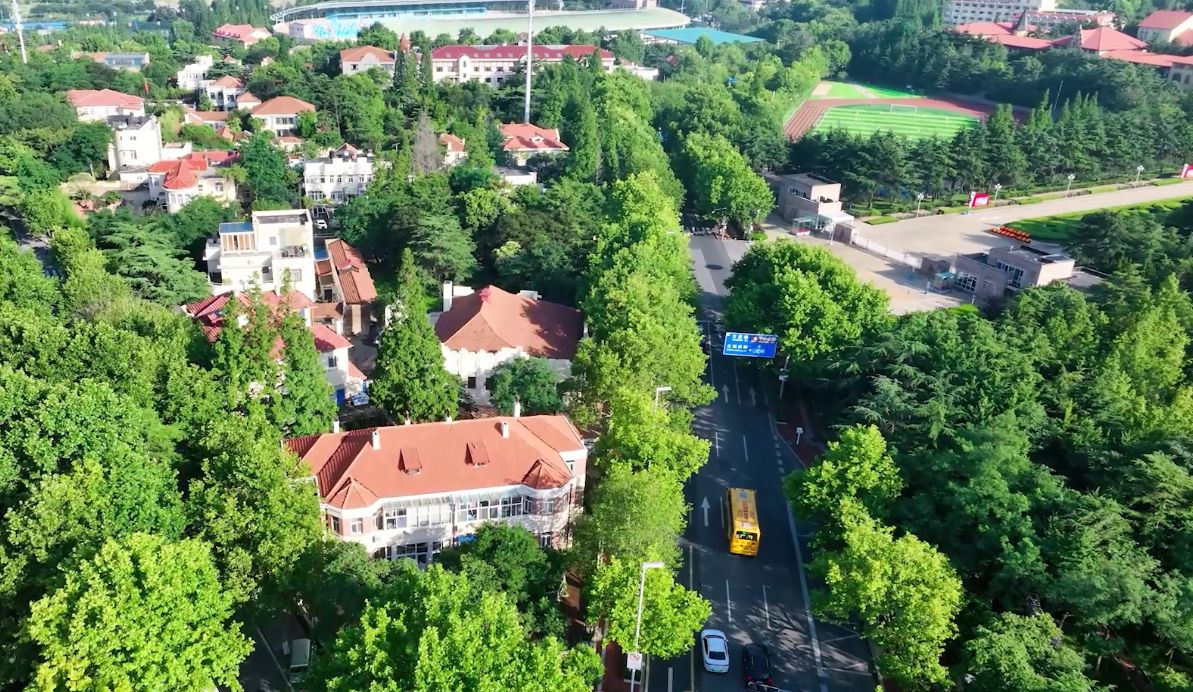 幼儿园十年变迁重大历程和成果,回顾十年间的成长跟经历