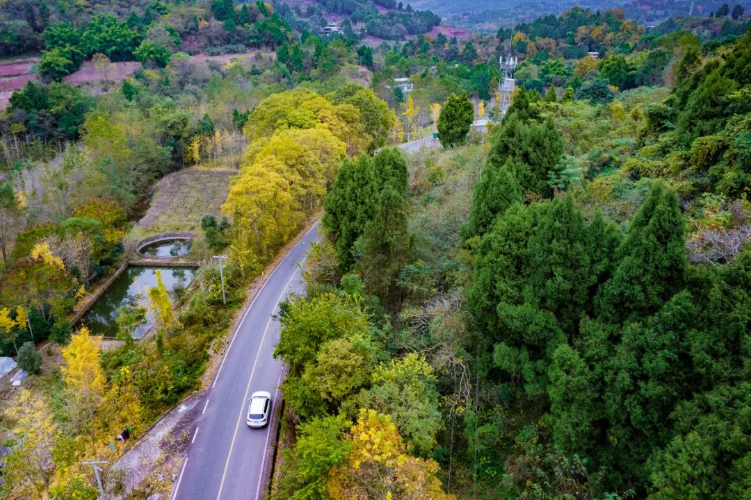 春暖花开运动好时节,春暖花开该开始运动了