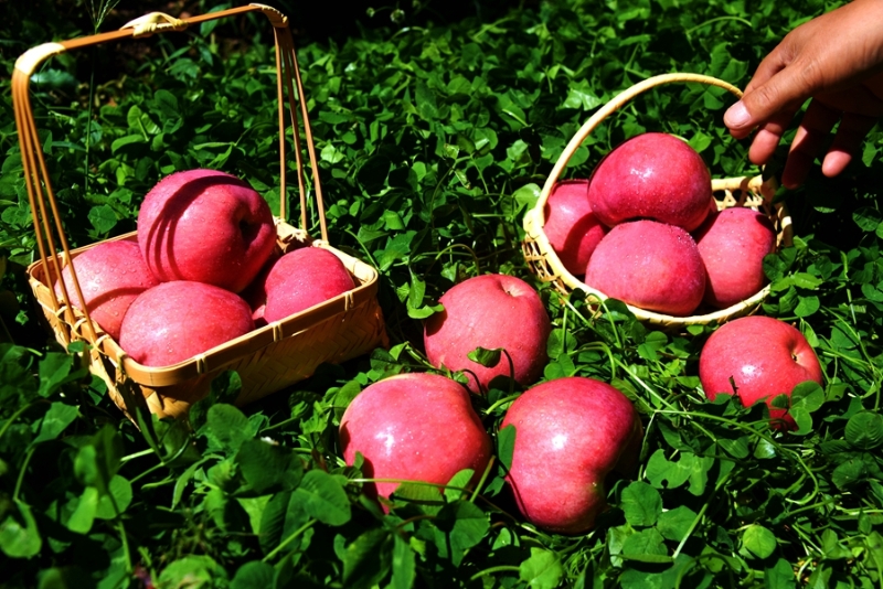 2023年5月11日新闻中的渭南事（组图）