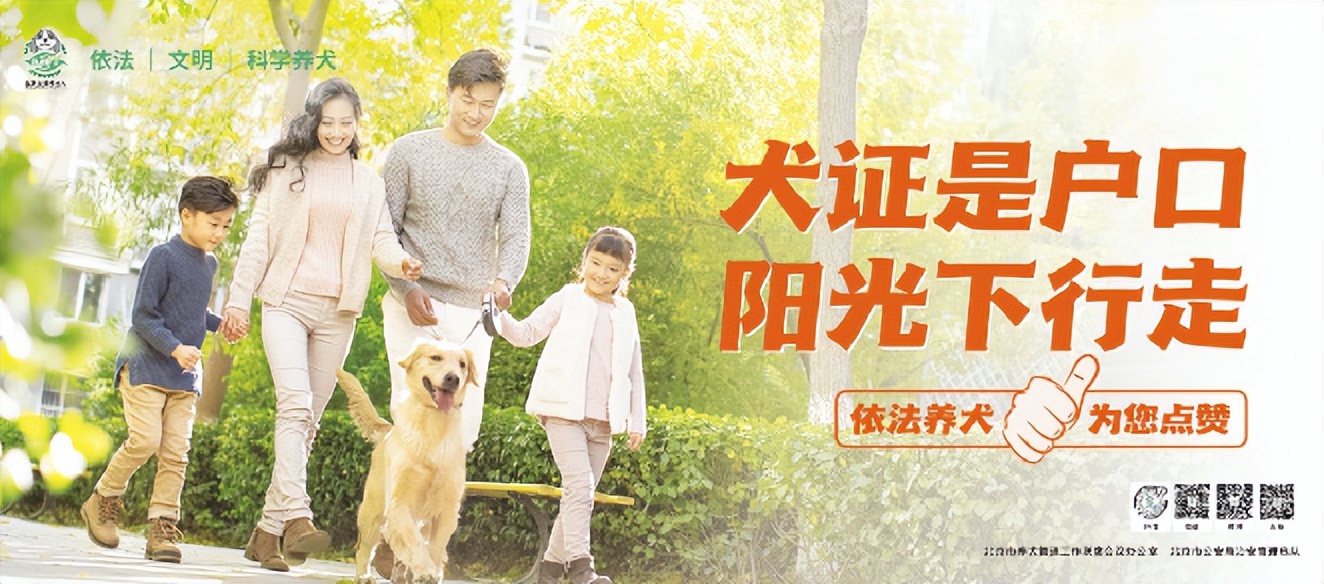 大型犬养犬证怎么办理,文明养犬给爱犬一个合法的身份