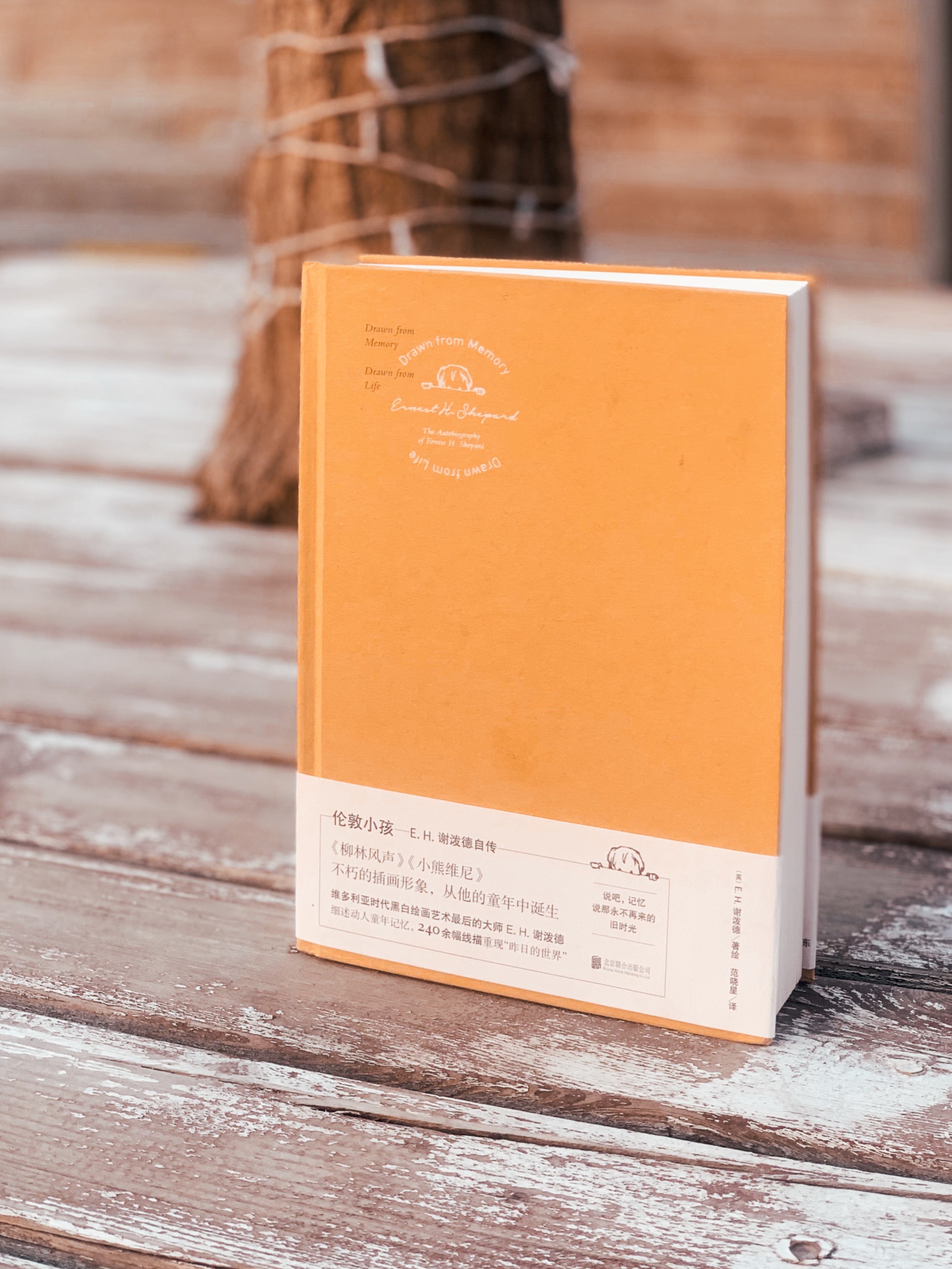 小熊维尼的作者童年故事：原来小时候心中有爱，长大后眼里才有光