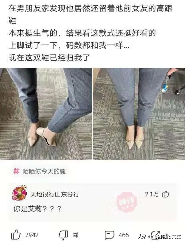 盘点那些“盐选神回复”,盐选神回复