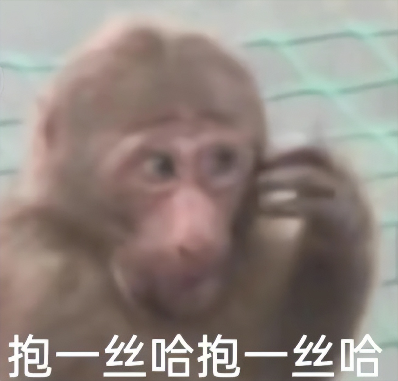 飞利浦外设贴牌,飞利浦代工贴牌南极人