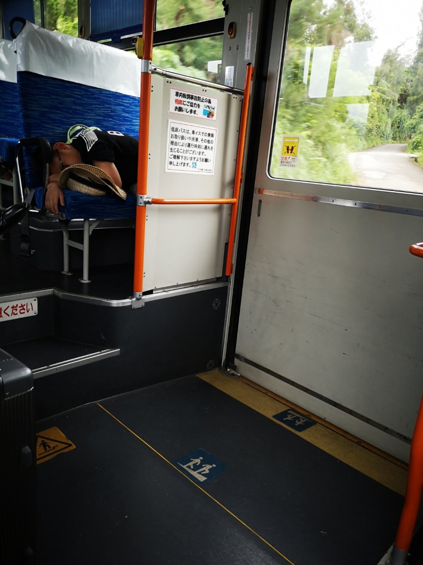 暑期档2019年,2019年暑期档