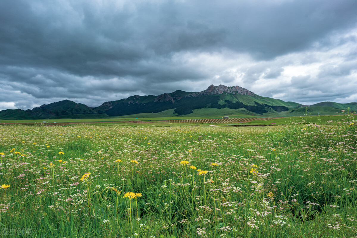遥远的骑兵——我经历的骑兵训练