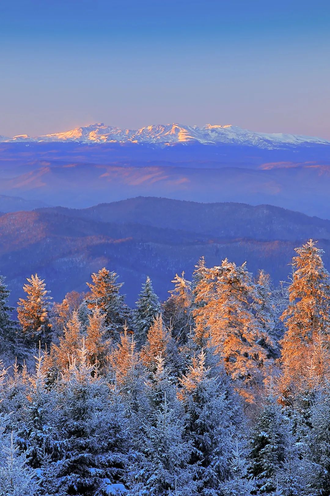 吉林延边和韩国语言一样吗,吉林延边为什么是朝鲜族