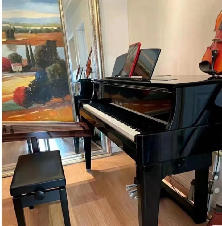 初学者买哪款电钢琴比较好,初学哪款电钢琴好