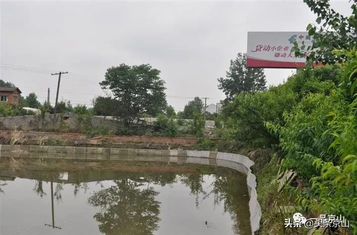 京山一只鳖一张鲜活的美食名片,京山哪里的甲鱼好吃