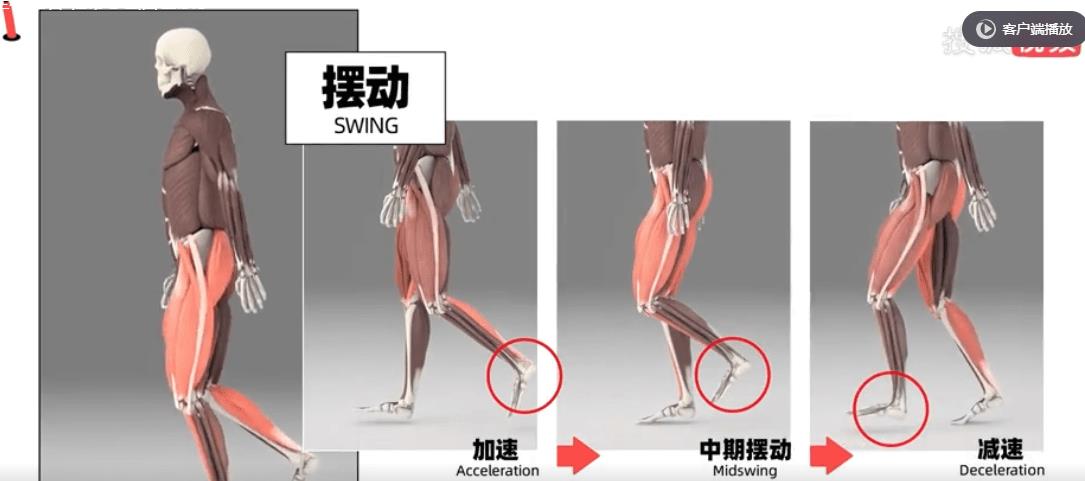 两个颜色不同的鞋带怎么打结起来,airforce鞋带怎么打结