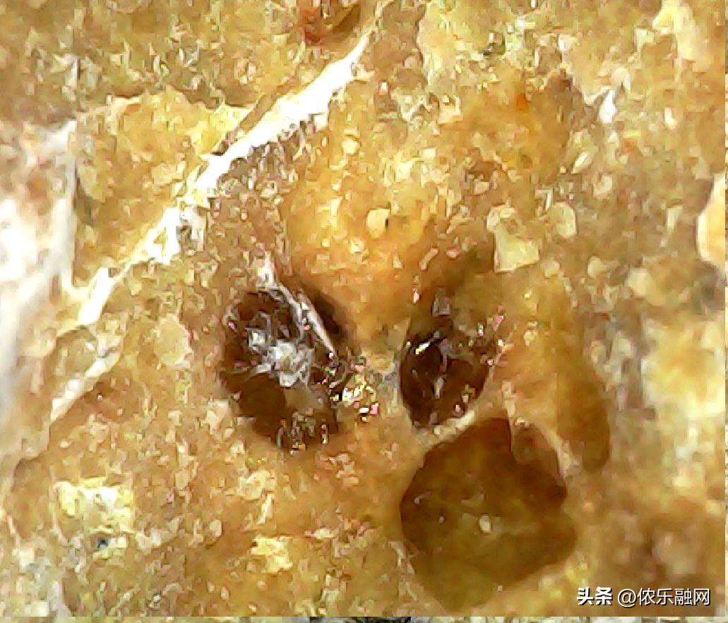 深色基质的都是碳质球粒陨石吗,红色基质黑色球粒是什么陨石