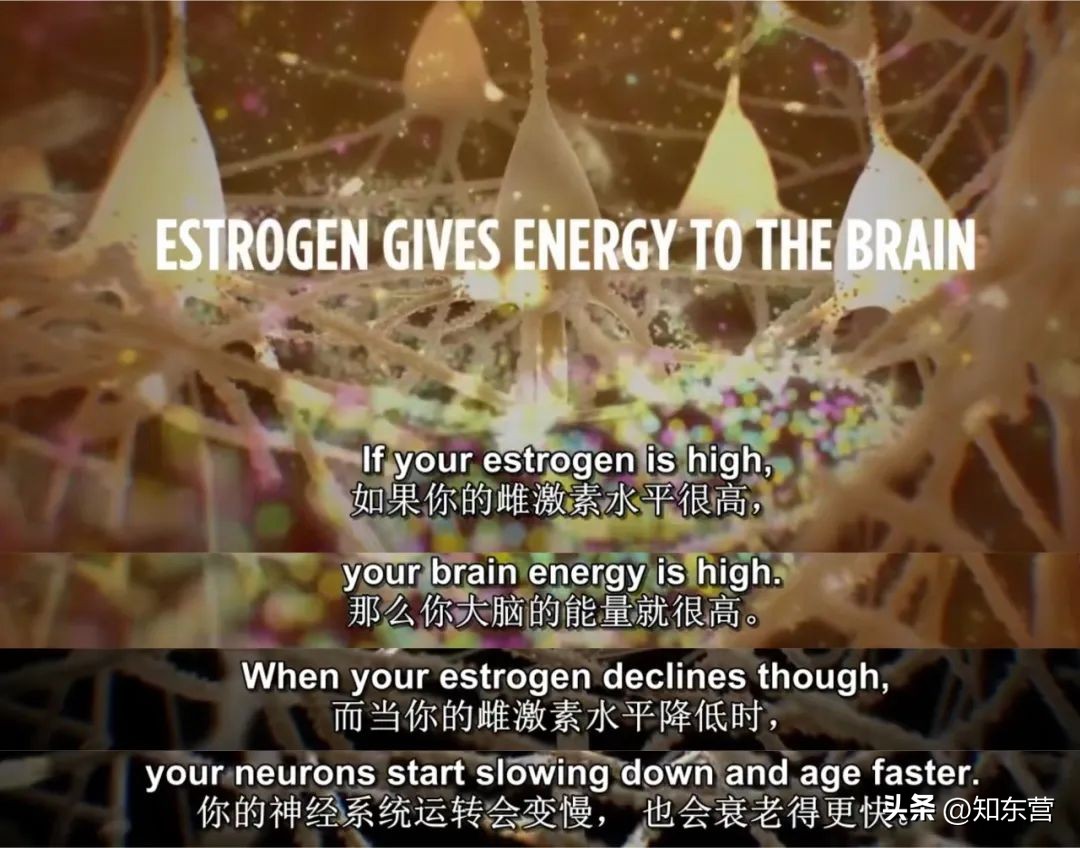 闫妮王牌对王牌被吓到,闫妮被堵嘴