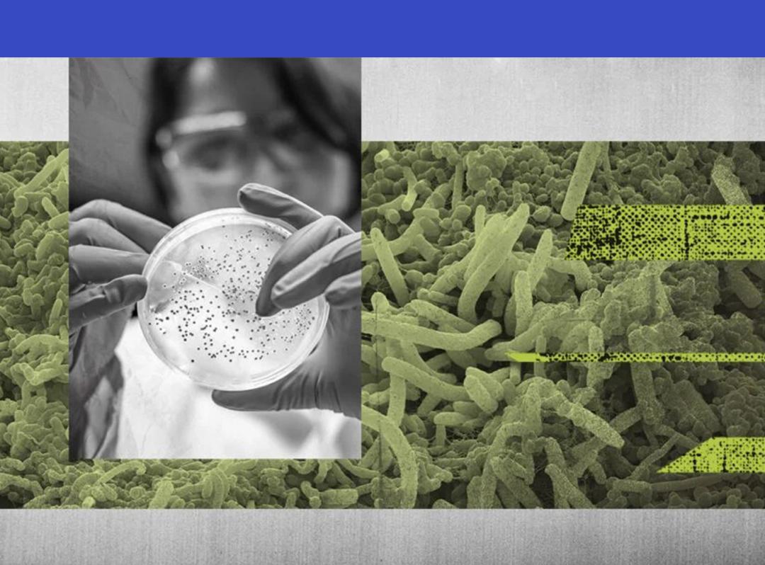 理性对待益生菌,如何理性看待益生菌