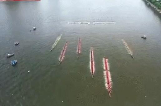 卧龙凤雏差点打起来,卧龙凤雏为啥不跟恐龙了