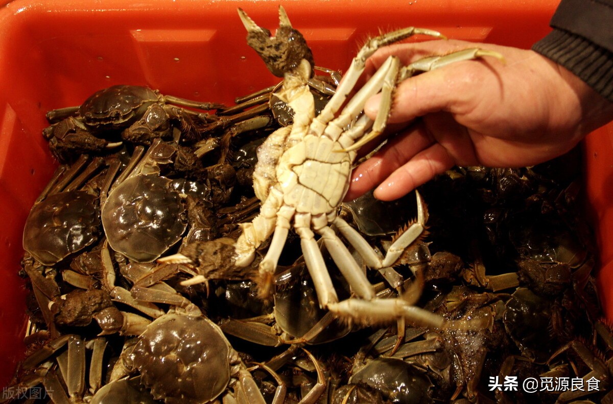 选购年货三大注意,买年货必不可少