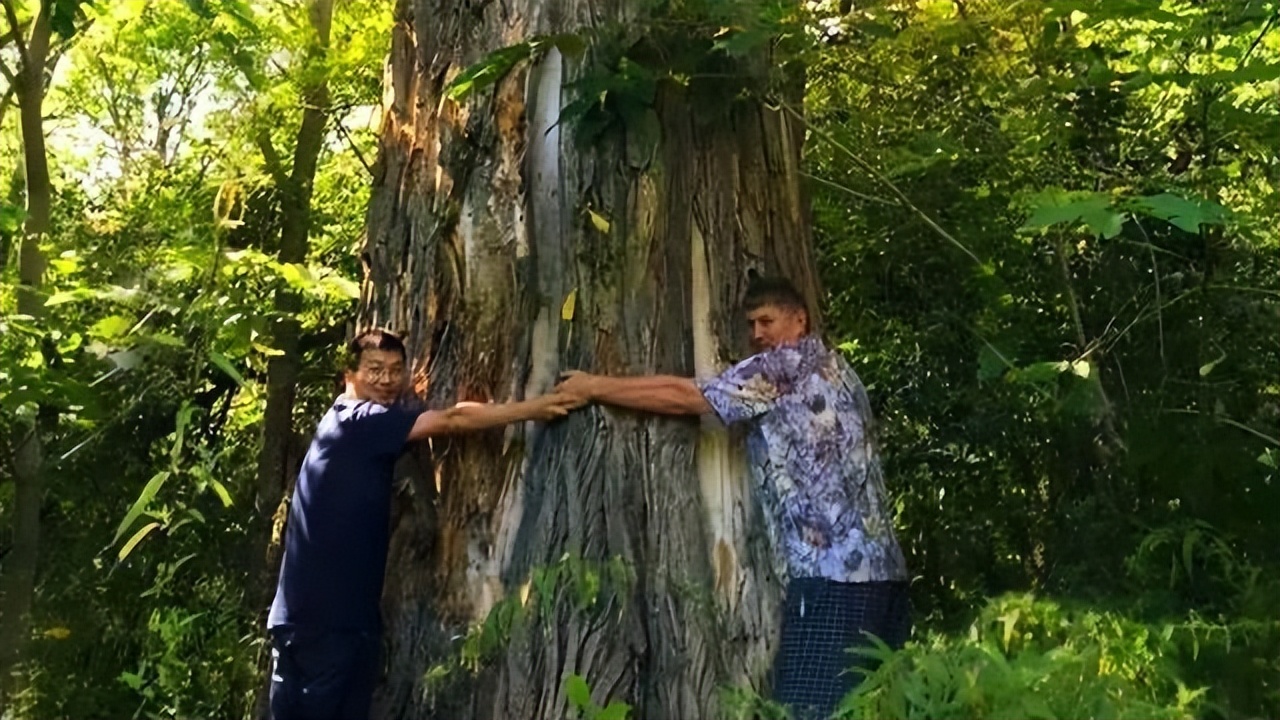 100绉嶅亣铚傝湝,100绉嶅亣铚傝湝瑙嗛