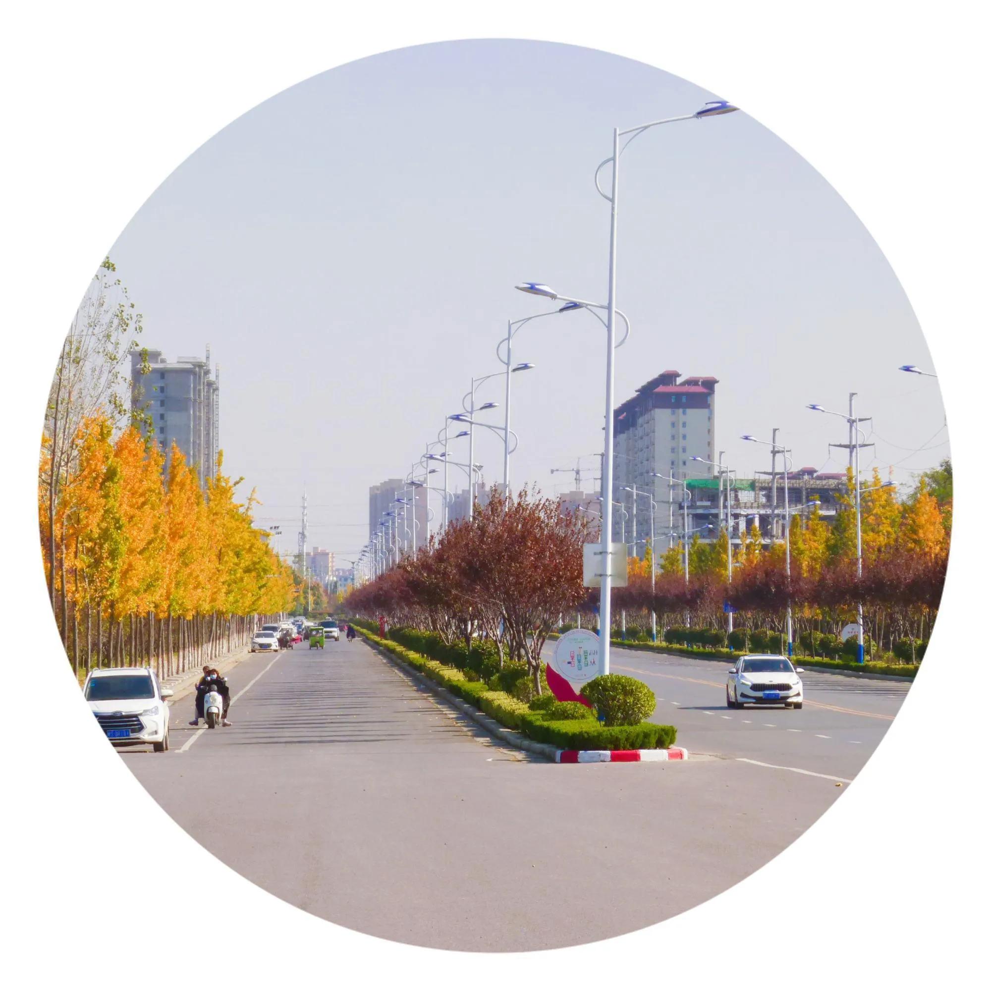 我的家乡鹿邑老子故里作文,我的家乡鹿邑作文400字怎么写