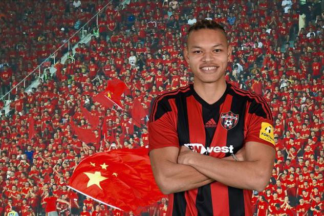 有中国血缘的归化球员,中国符合血缘归化的球员