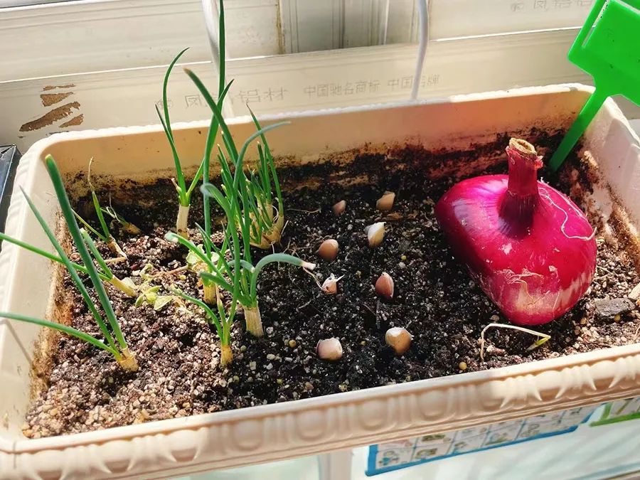 居家隔离的囤货指南,居家隔离囤什么吃的