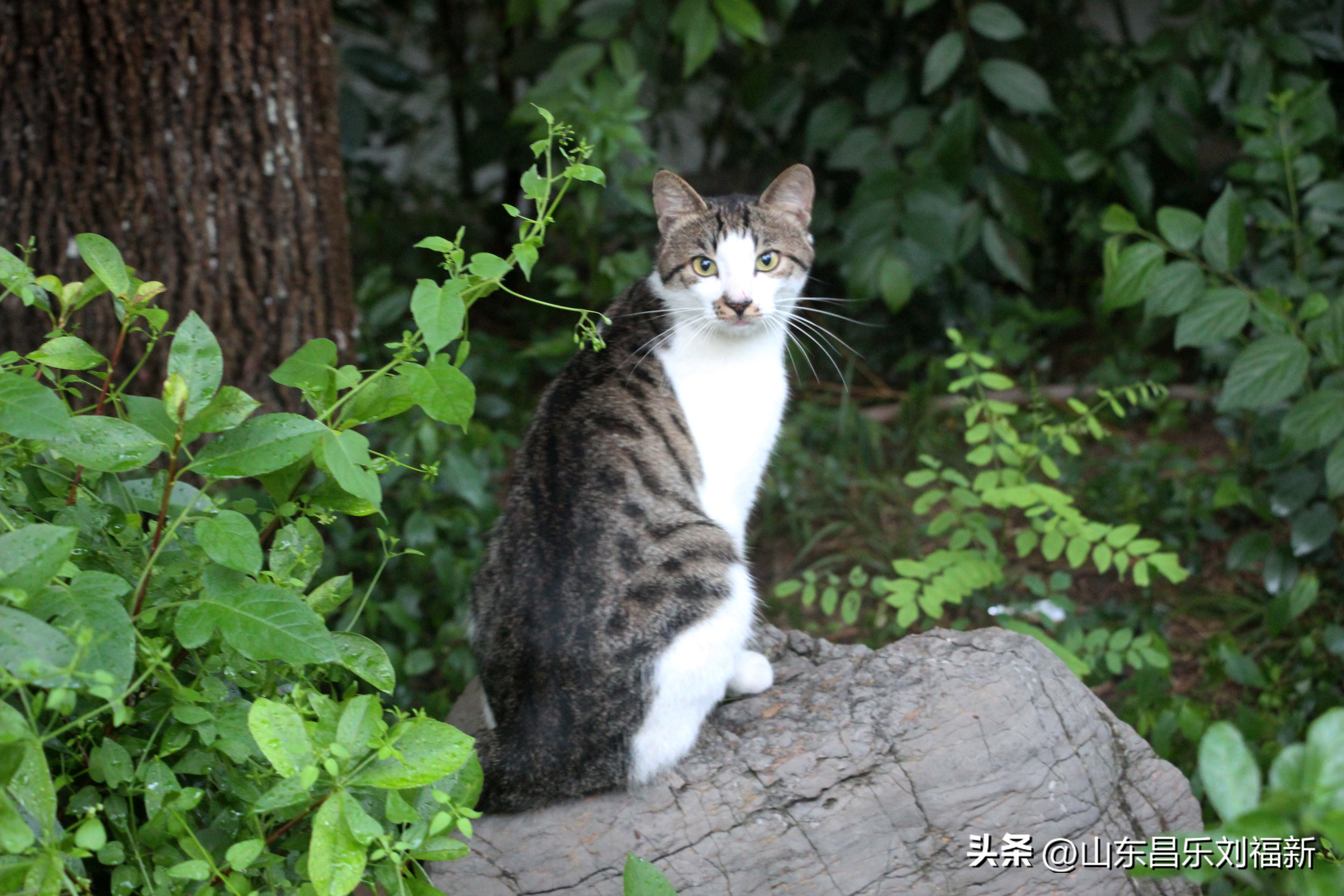 2023年8月20日有雨吗,2021年8月19日有没有下雨