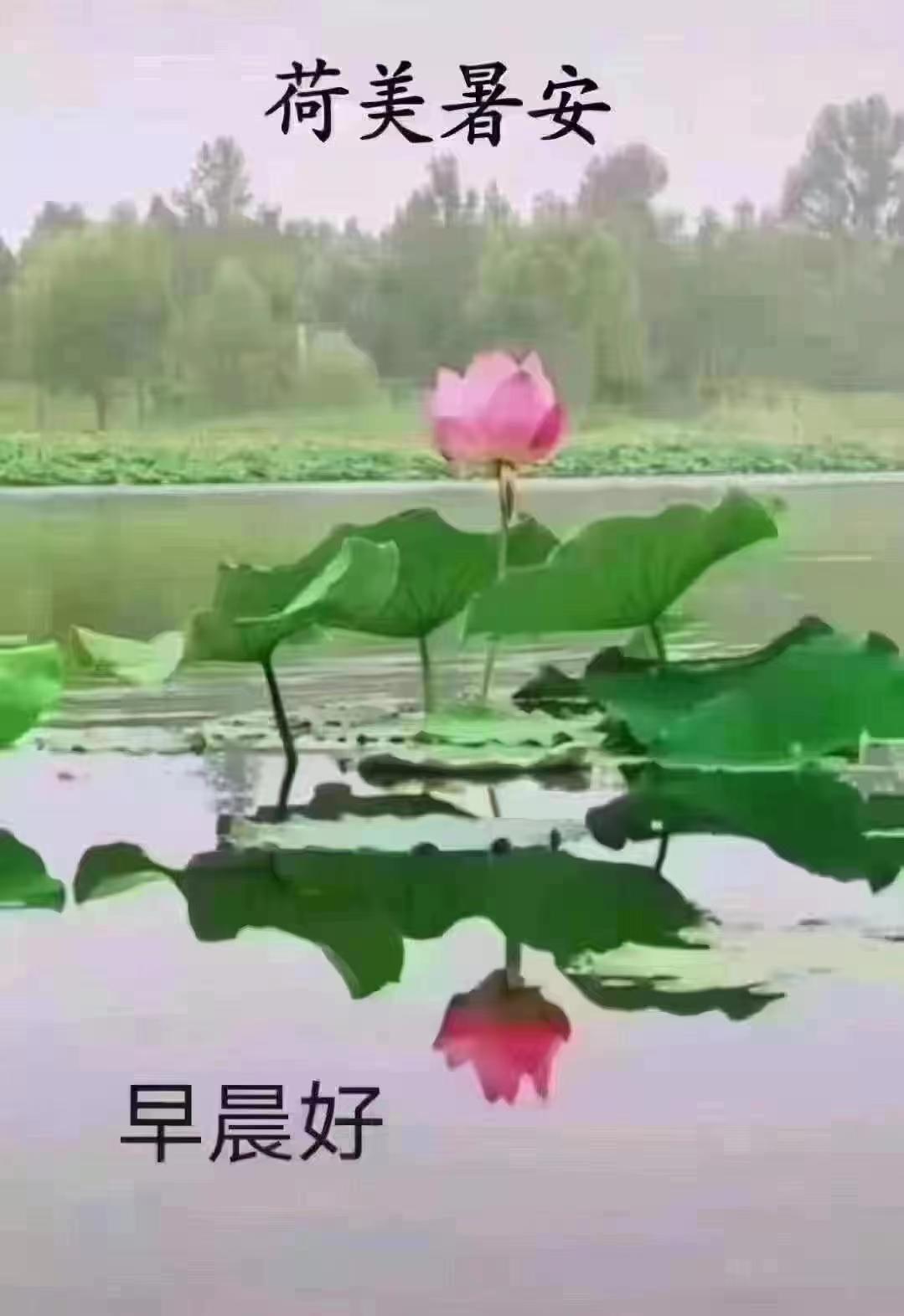 克服困难努力向上,面对困难勇敢大步向前