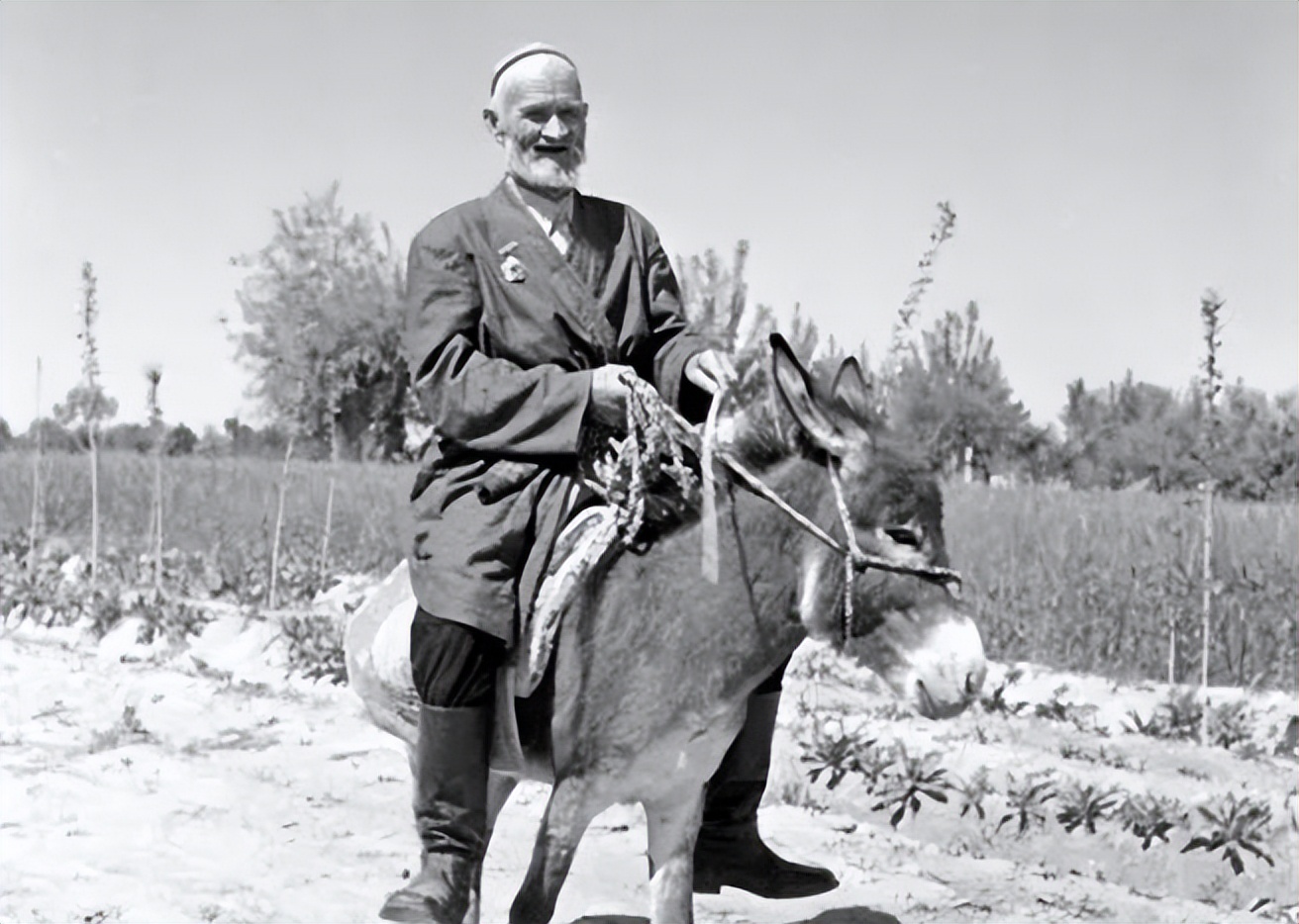 73岁高龄的库尔班：带百斤馕，骑毛驴从*疆新**去见毛主席，结局如何