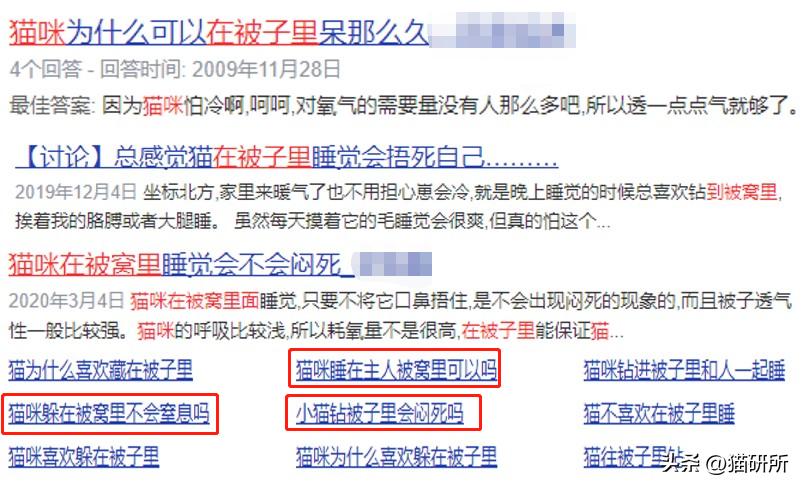 冬天猫咪一直睡觉无精打采,冬天猫咪睡觉会感觉冷吗