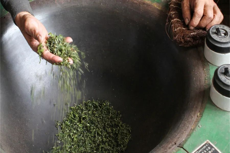 春茶买紧压茶还是散茶,如何判断春茶夏茶的区别