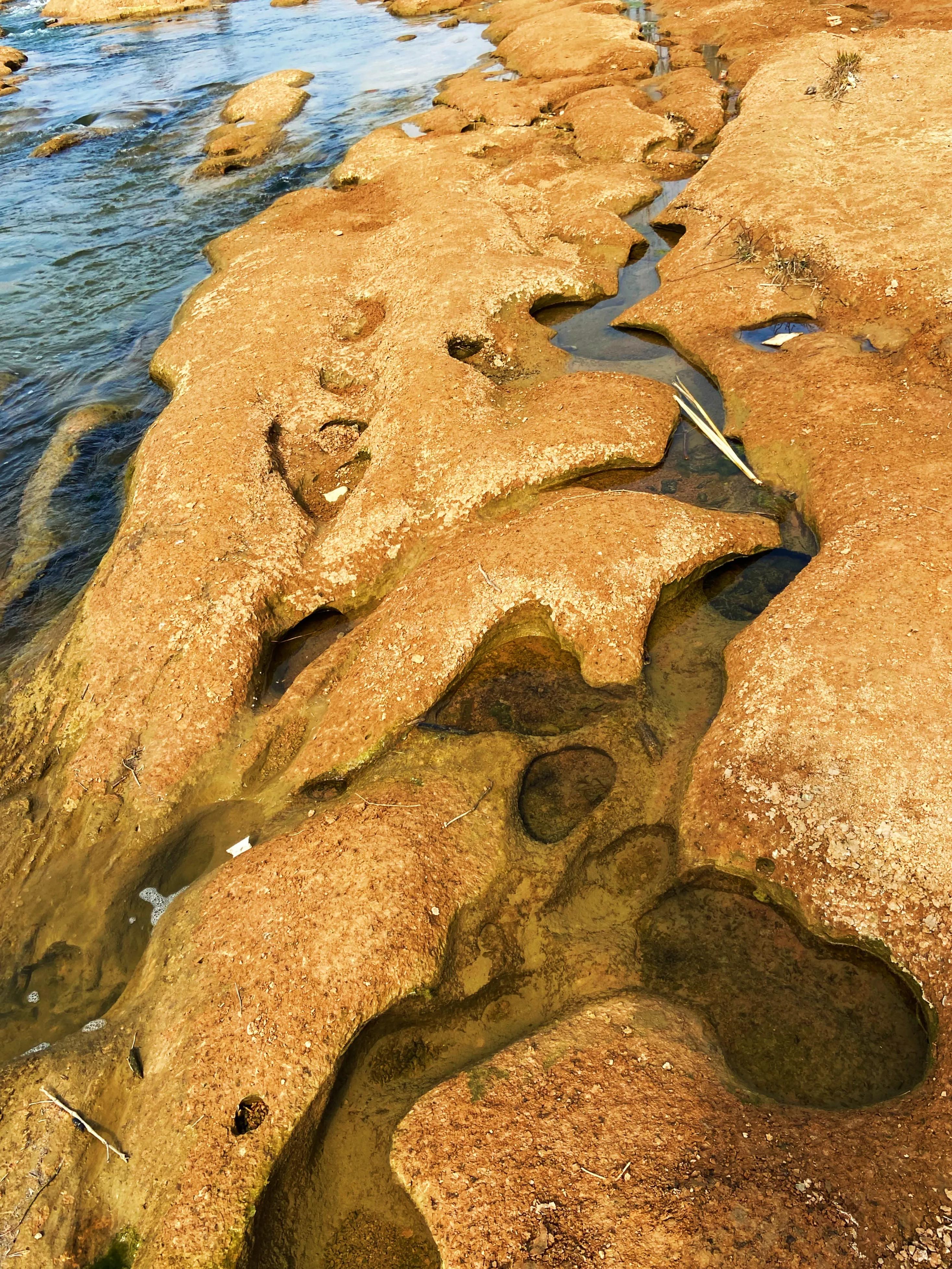 河边的景色真是太美了,文川河风景