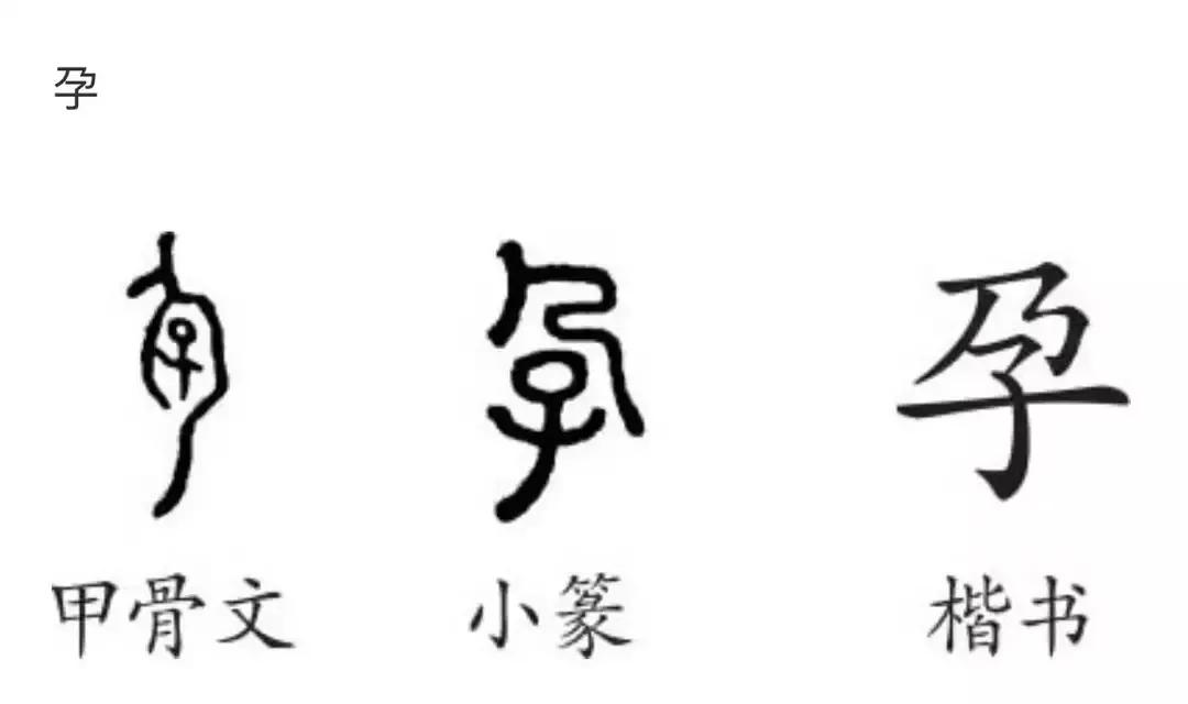 二里头夏都是宫城还是都城,二里头是夏都遗址吗