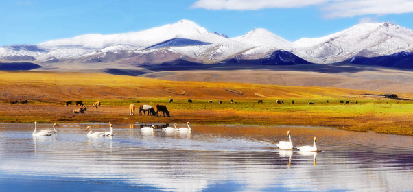 美丽的新疆大美之疆,疆新