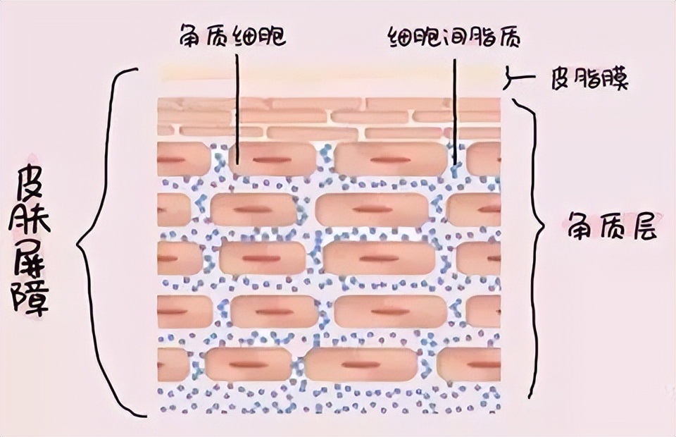 洗完澡身上痒还起皮是怎么回事,洗完澡皮肤干燥起皮浑身痒