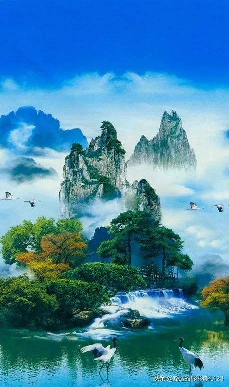 难得一见绝美一清二楚郁金香壁纸,难得一见雪景壁纸