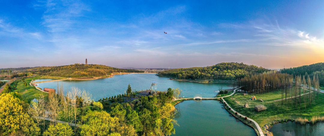 2021年参加首都义务植树活动,2021年冬季全民义务植树活动