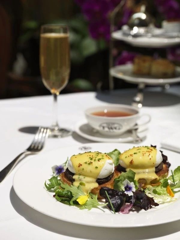 鏂囧湥鑼惰瘽,鏂囪儨鑼惰