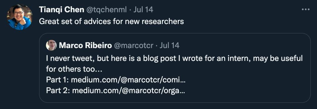 陈天奇得到了神奇的认可,陈天奇教授