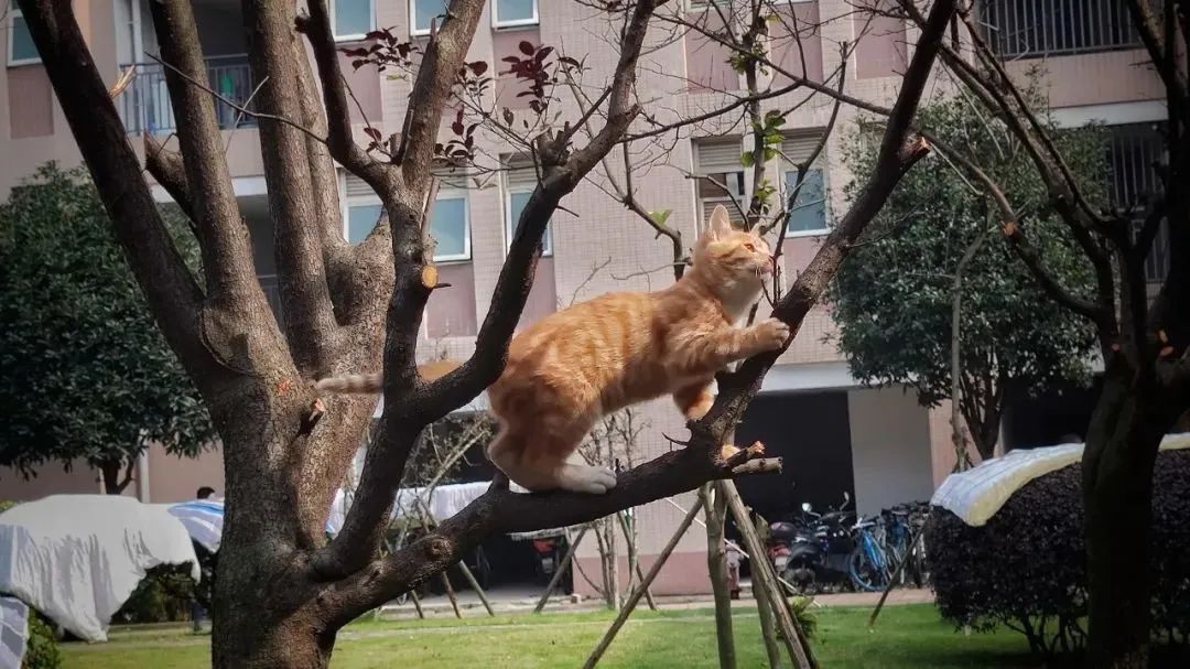 美美美，在阳光灿烂的成电遇见你~